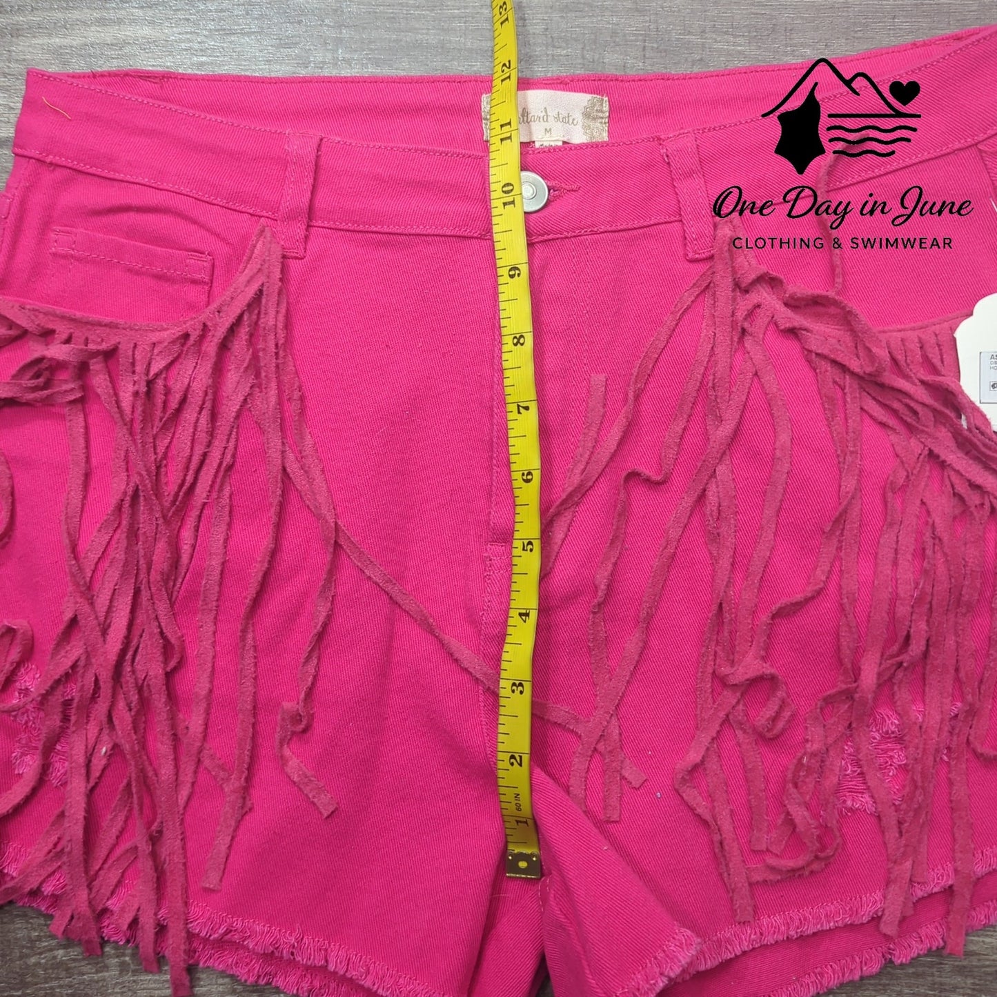 Altar'd State Frill Edge Denim Shorts Size M