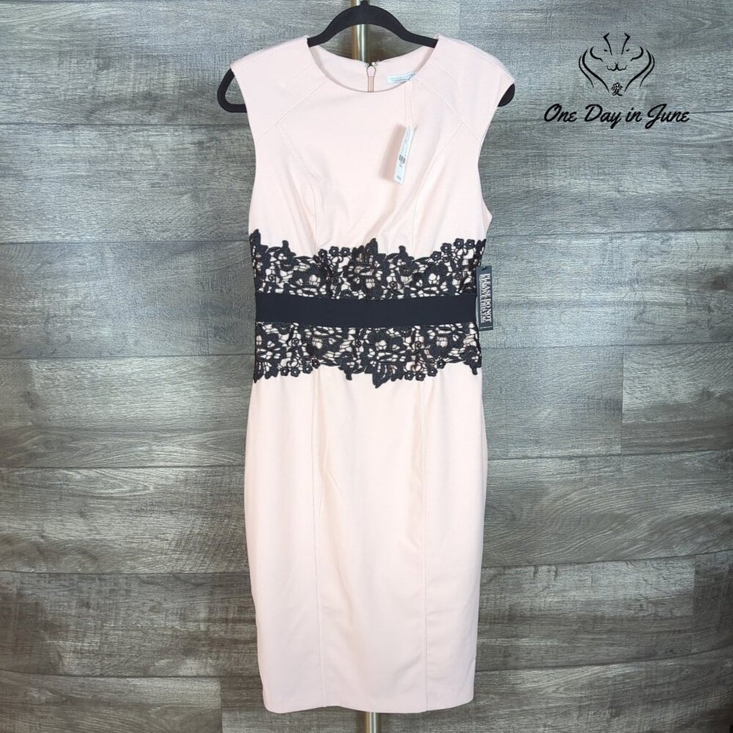 New York & Company Sheath Dress Pink Black Lace Colorblock NWT $79.95 Size S