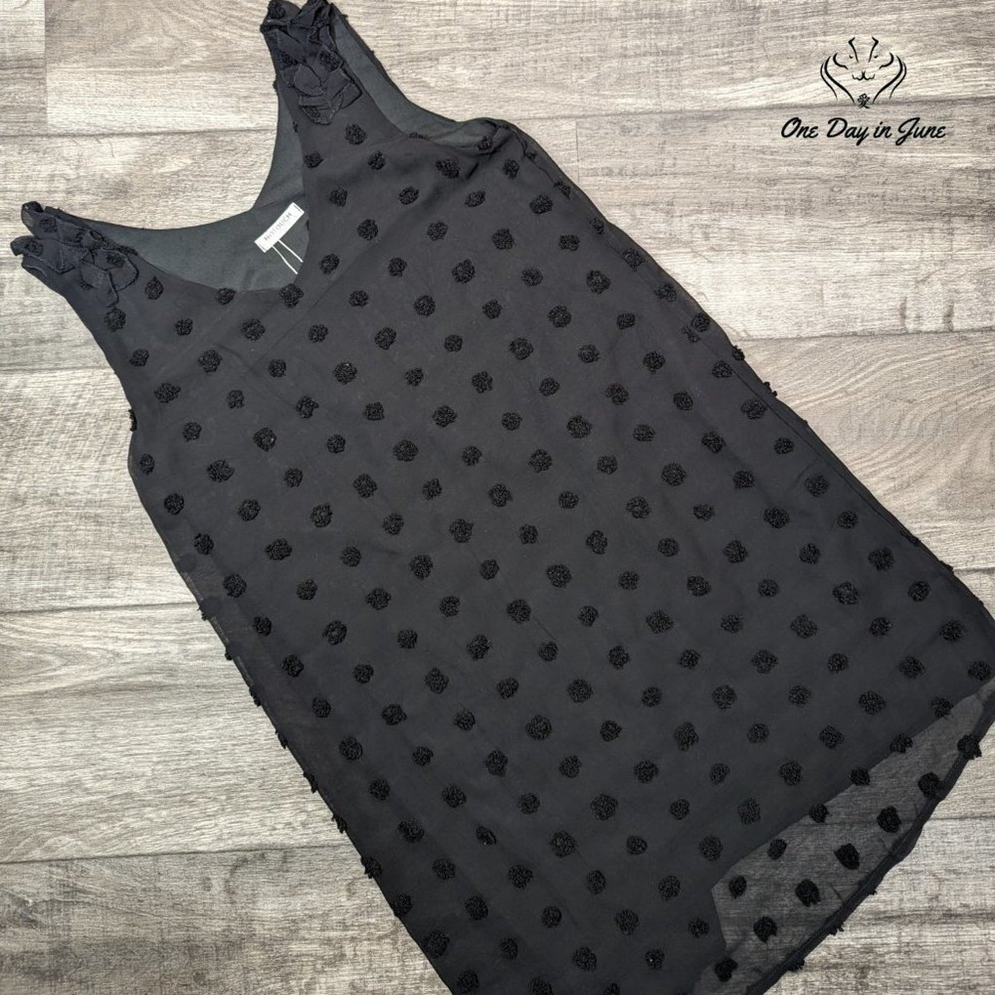 Hotouch Sleevless Sheer Lined Mini Dress Size S