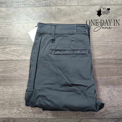 AG Adriano Goldschmied The Caden Tailored Trouser Pants Gray NWT Size 4 (27)