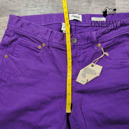 Madewell Skinny Ankle Zip Jeans Purple Stretch Denim NWT Size 10