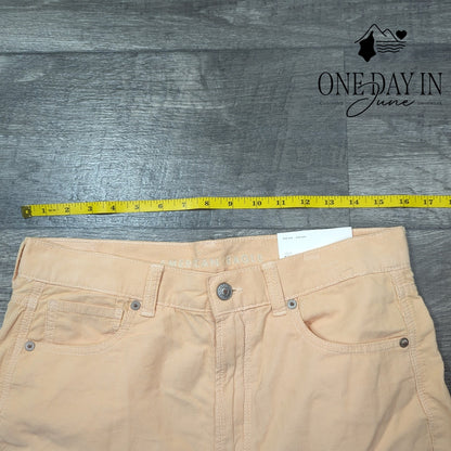 American Eagle Outfitters Mom Jean Corduroy Pants Size 10