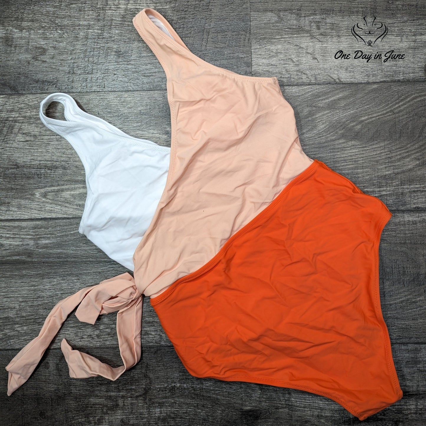 Felnart V Neck Colorblock One Piece Swimsuit Size L