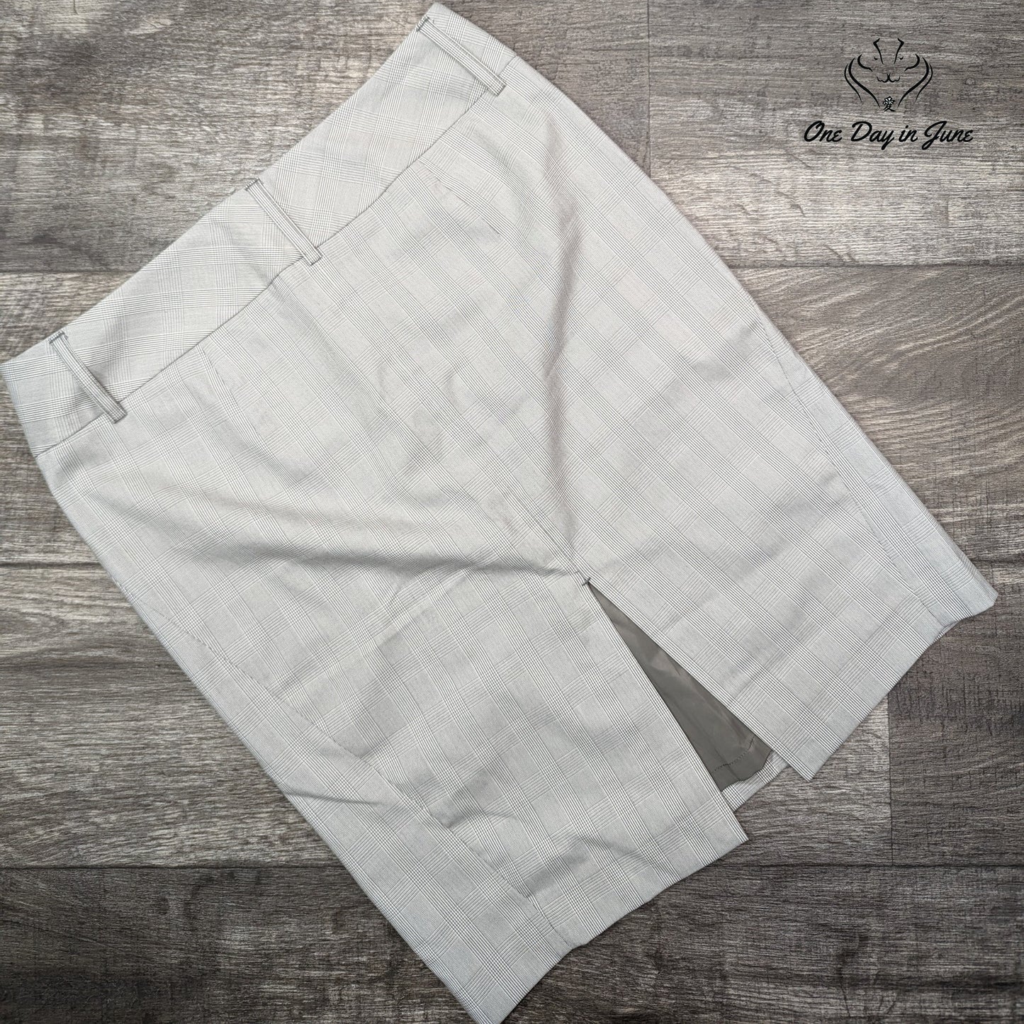 Express Pencil Skirt Size 6