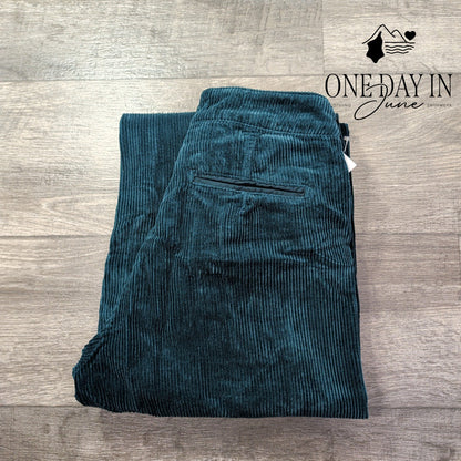 AG Adriano Goldschmied Corduroy Wide Leg Pants Teal Blue NWT Size 4 (27)