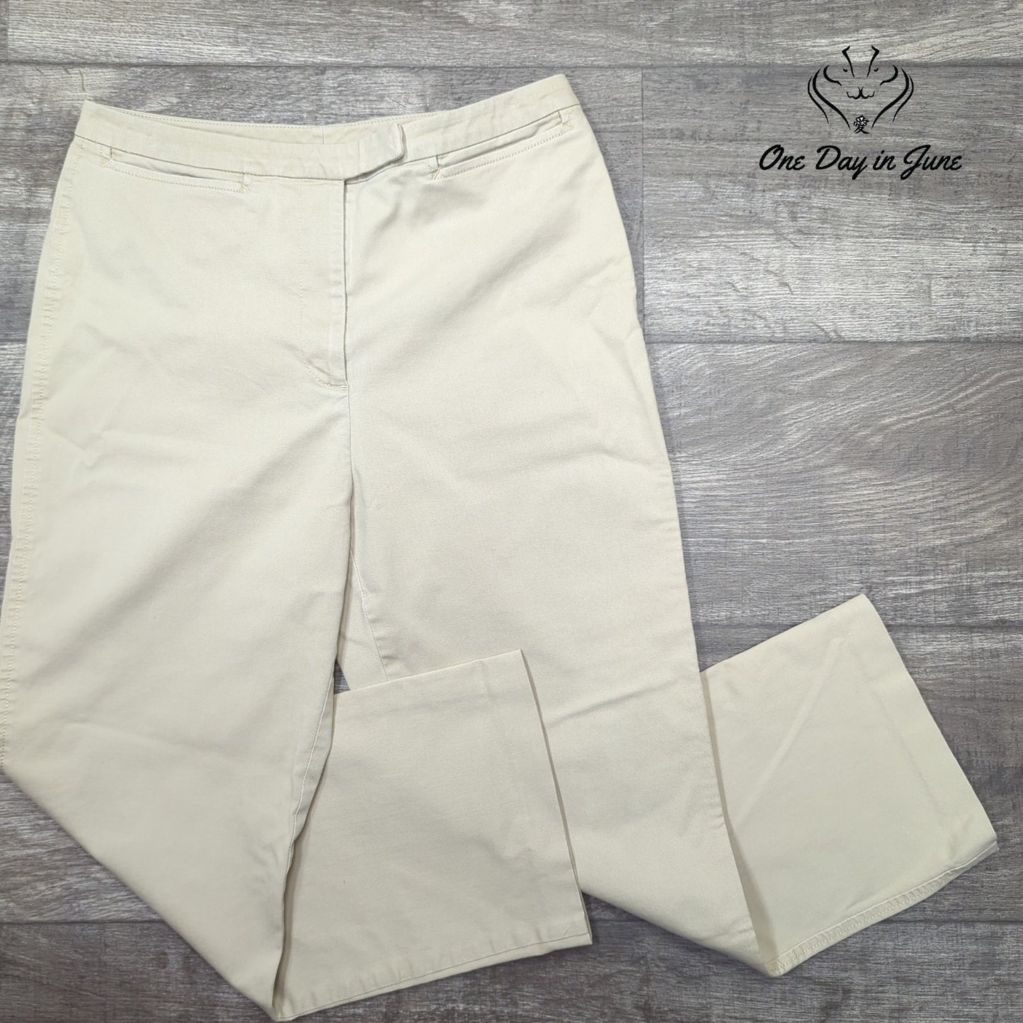 Ann Taylor Cropped Pants Size 6