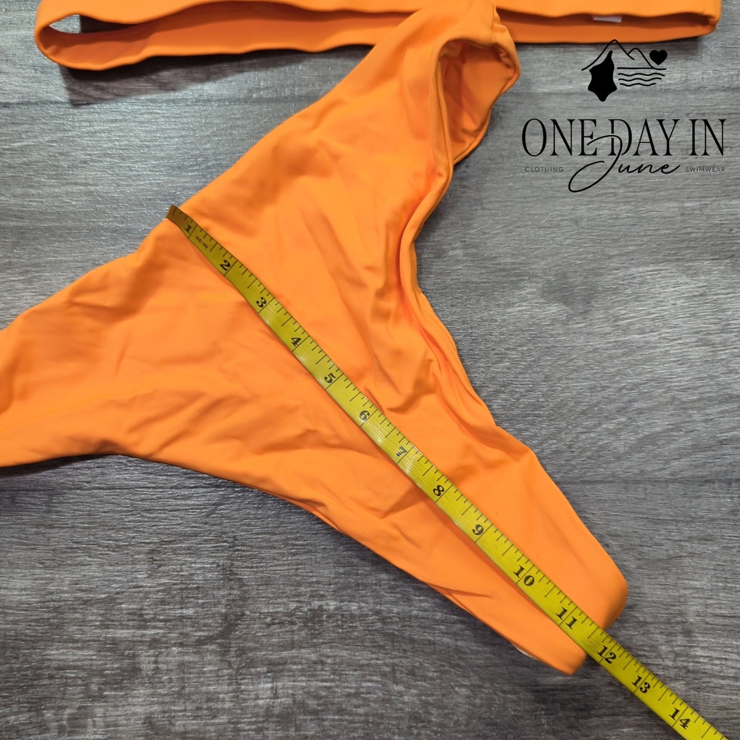 CharmLeaks High Cut Thong Bikini Swimsuit Size L