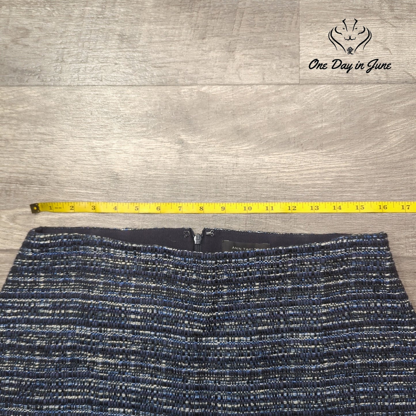 Ann Taylor Mini Lined Skirt Size 10