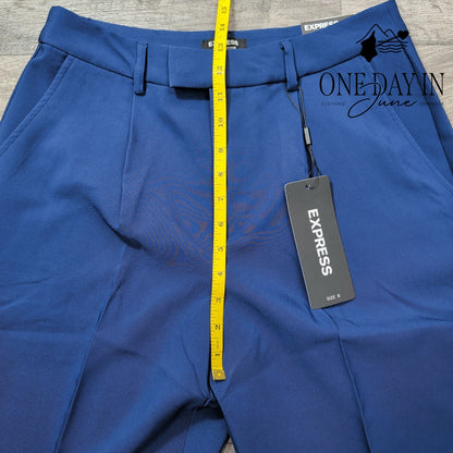 Express Podcaster High Waist Straight Pants Size 8