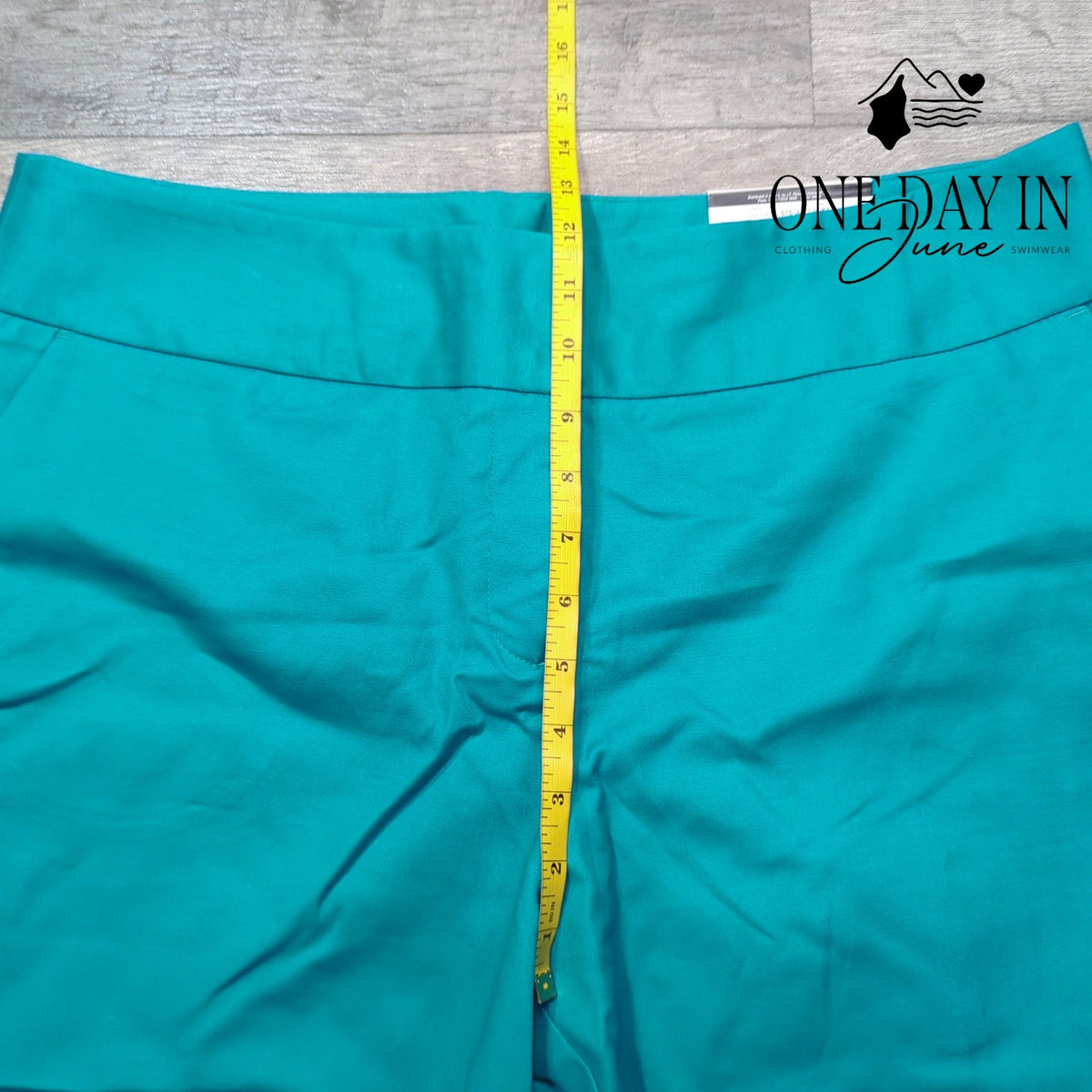 Worthinigton Slim Fit Slim Leg Dress Pants Teal Turquoise NWT Size 16S