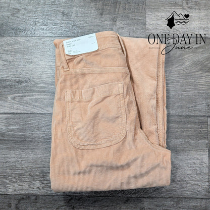 American Eagle Outfitters Super High Rise Baggy Wide Leg Pants Size 00