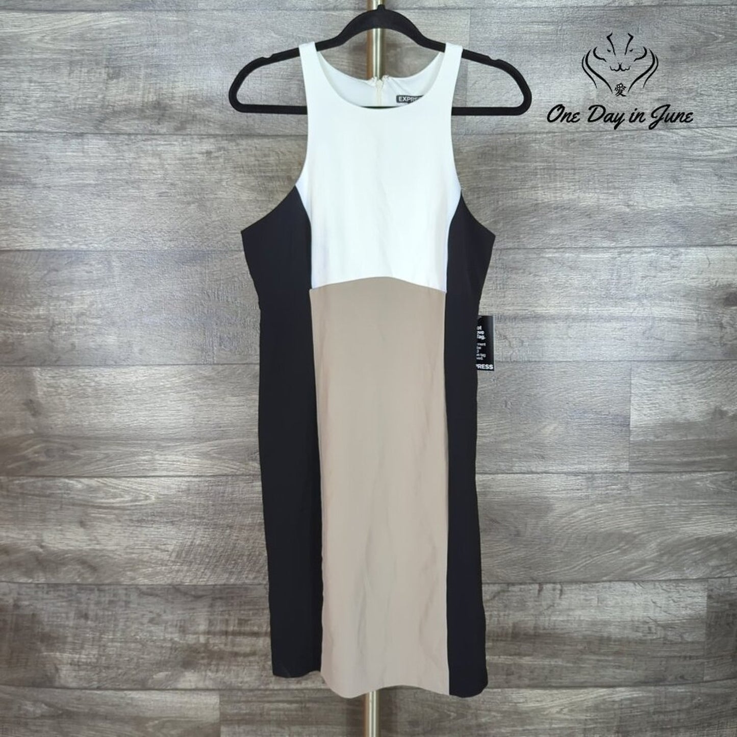 Express Sleeveless Mini Dress Size 12