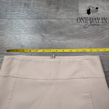 Ann Taylor Lined Mini Skirt Size 0