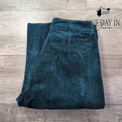 AG Adriano Goldschmied Wide Leg Corduroy Pants Dark Teal NWT Size 4 (27)