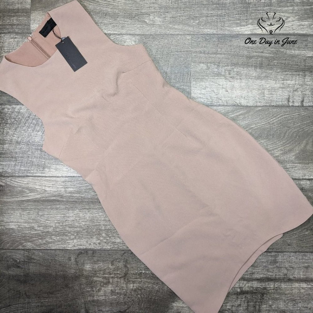 Blaque Label Sculpted Hemline Sleeveless Sheath Dress Blush Pink NWT Size M