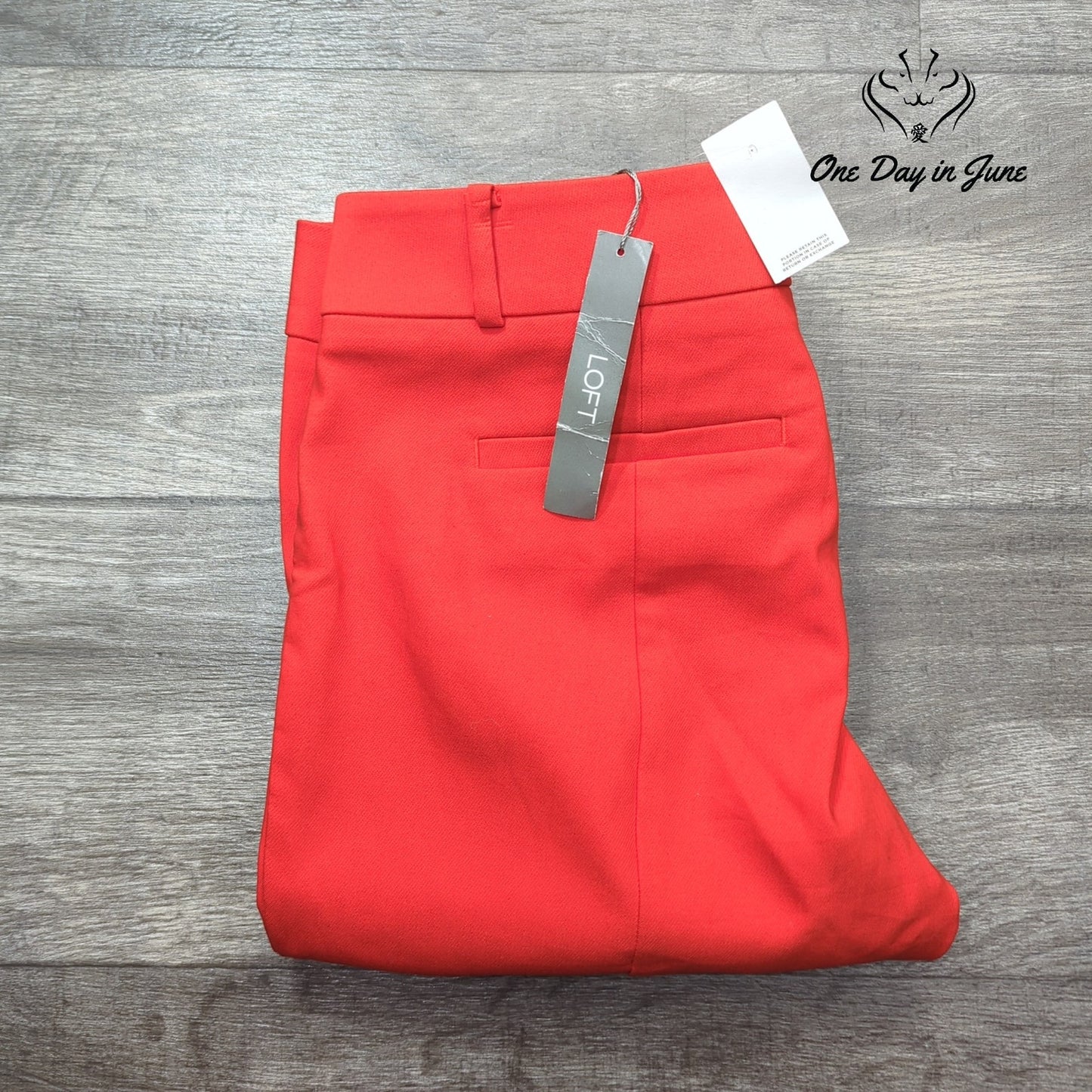 Loft Marisa Skinny Pants Size 10