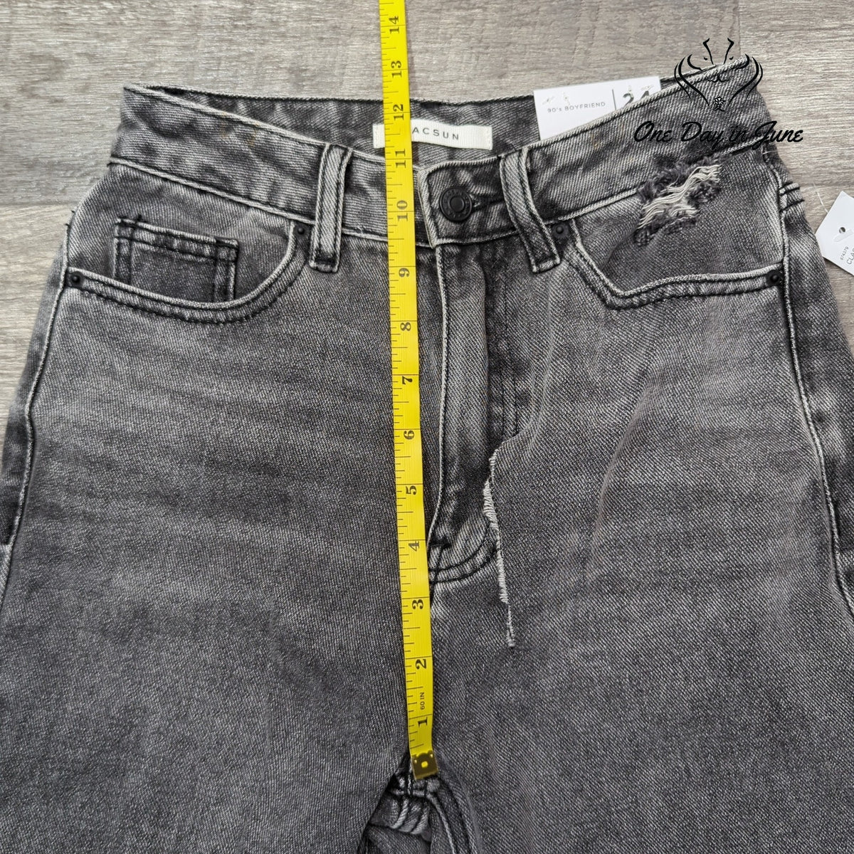 Pacsun 90s Boyfriend Distressed Jeans Gray Black High Rise NWT Size 24 (0)