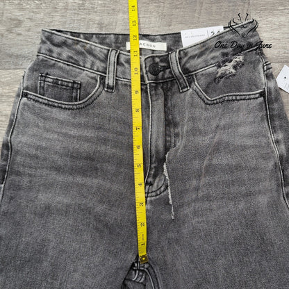 Pacsun 90s Boyfriend Distressed Jeans Gray Black High Rise NWT Size 24 (0)