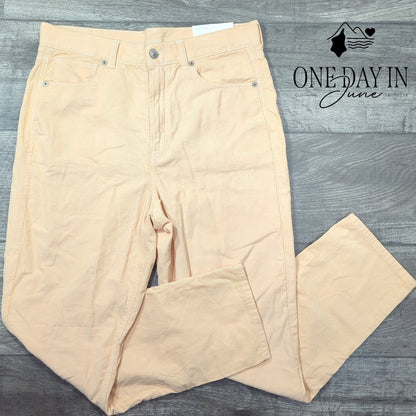 American Eagle Outfitters Mom Jean Corduroy Pants Size 10