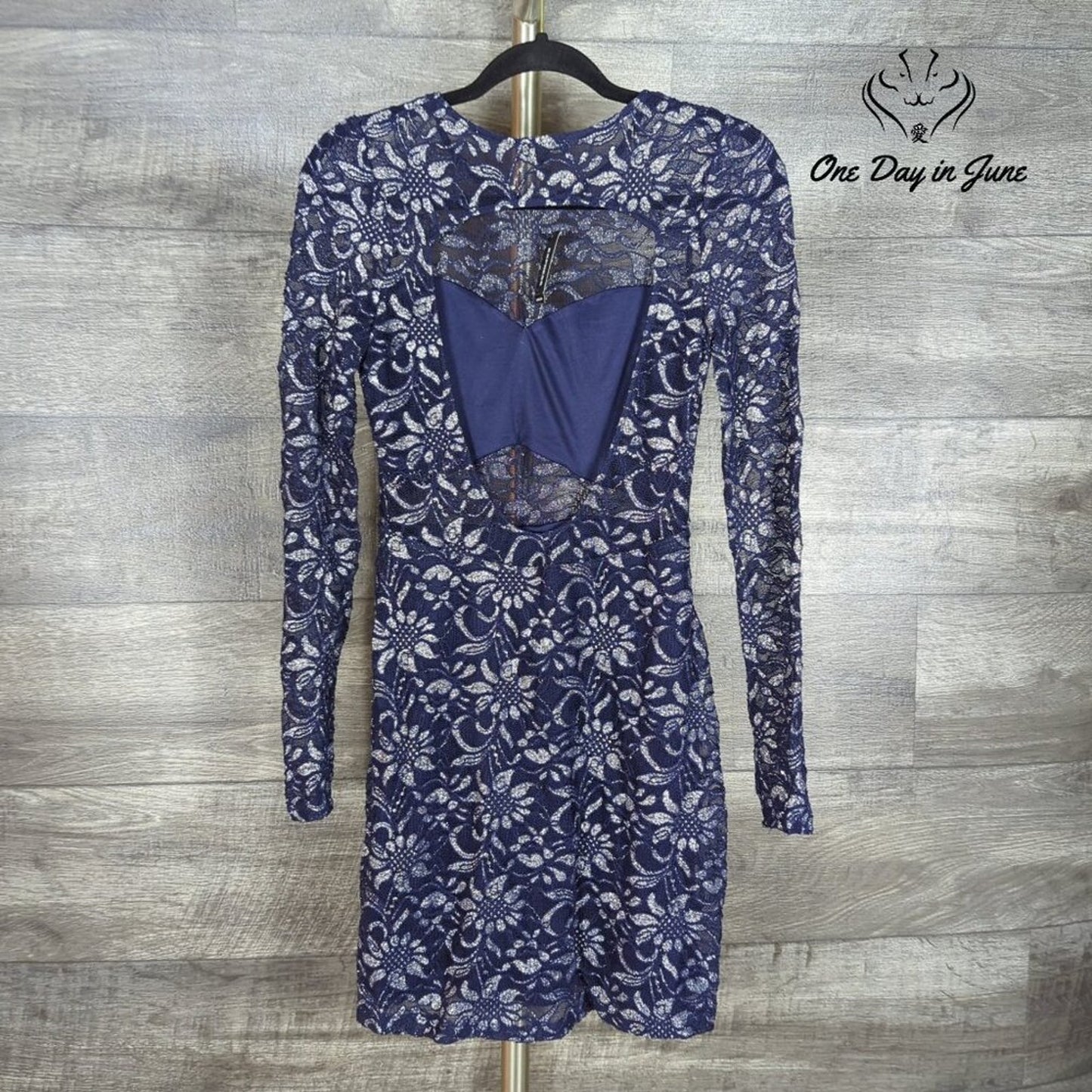 Express Long Sleeve Sheer Mini Dress Size S/P