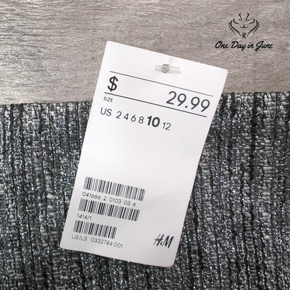 H&M Metallic Silver Textured A-Line Mini Skirt Party Holiday NWT Size 10