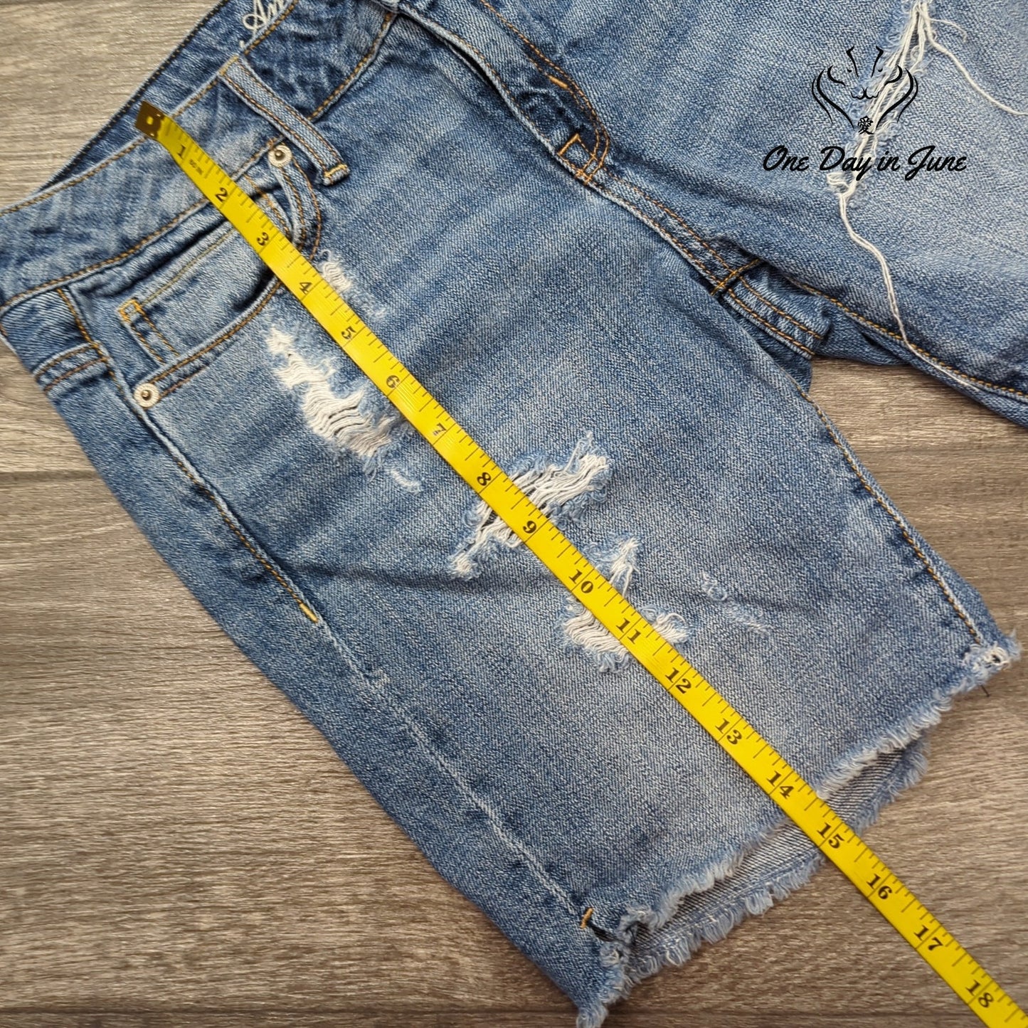 American Eagle Outfitters Cut Off Denim Shorts Size 0