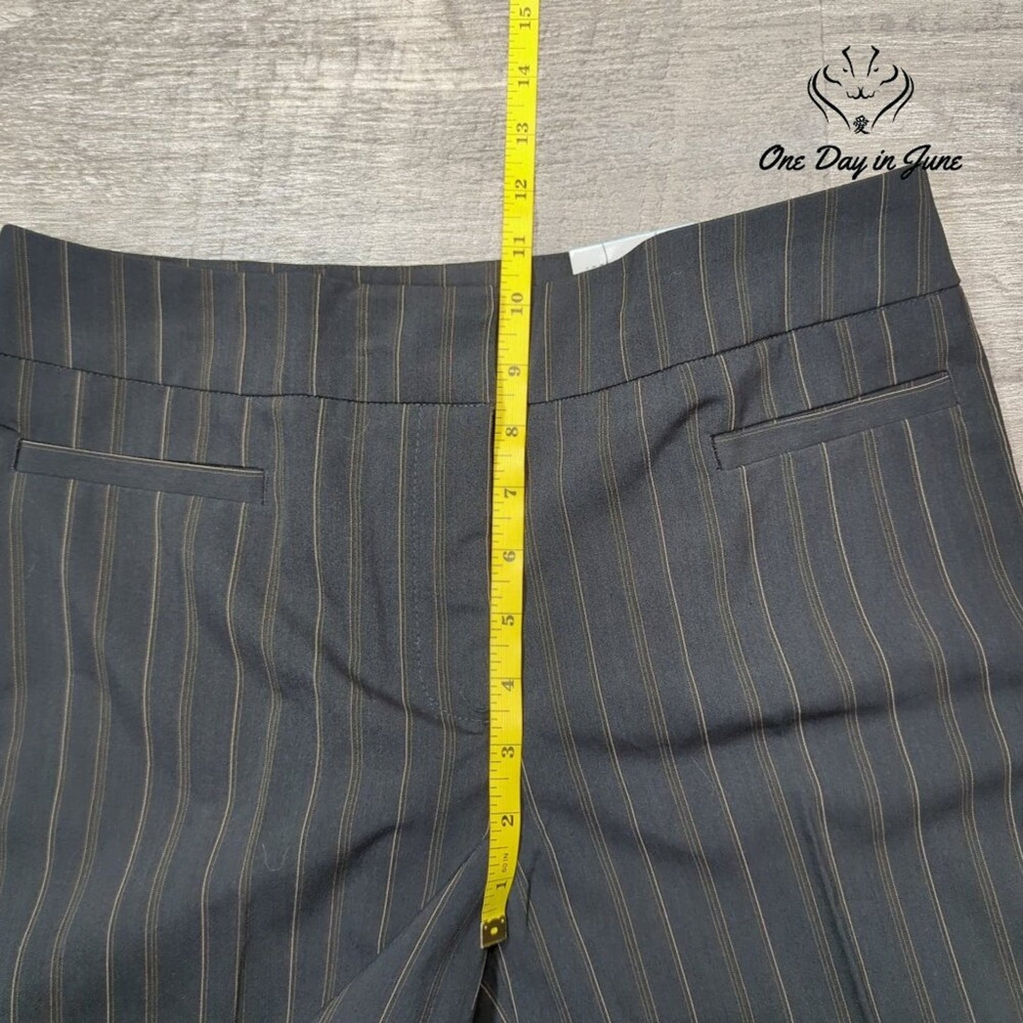 Focus 2000 Classic Fit Pinstripe Pants Black Brown Straight Leg NWT Size 8