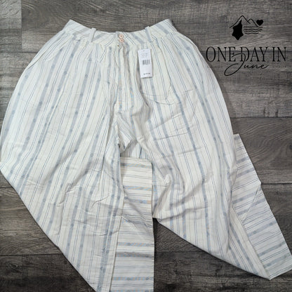 AG Adriano Goldschmied Hadley High Rise Pleated Culotte Pants NWT Size 4 (27)