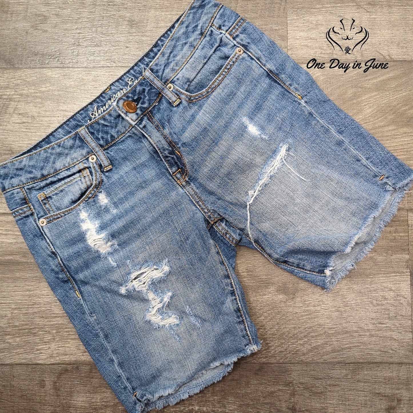 American Eagle Outfitters Cut Off Denim Shorts Size 0