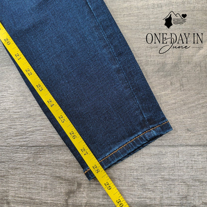 DL1961 Emma Low Rise Skinny Jeans Dark Wash 29" Inseam NWT Size 4 (27)